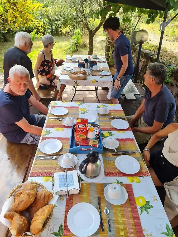 ** Bed and Breakfast Case Zuccaro Trecastagni Ιταλία